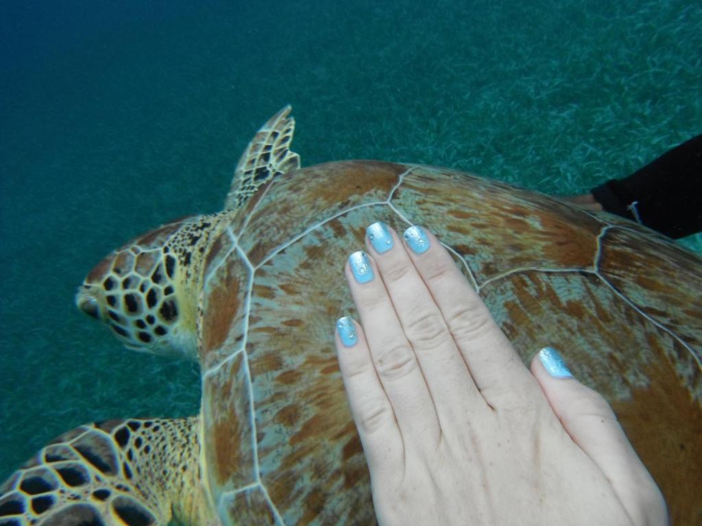 Shaka Caye All Inclusive Resort Belize City Eksteriør bilde
